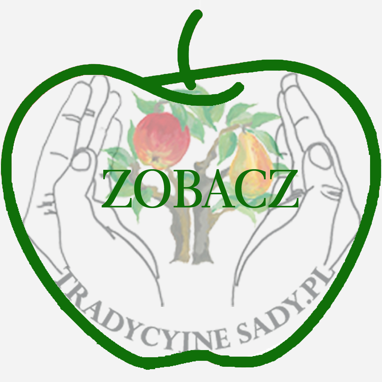 ZOBACZ